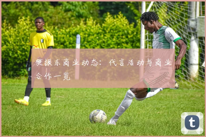 樊振东商业动态：代言活动与商业合作一览