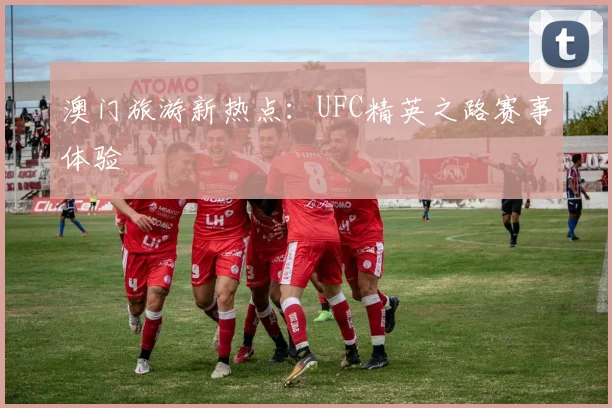 澳门旅游新热点:UFC精英之路赛事体验