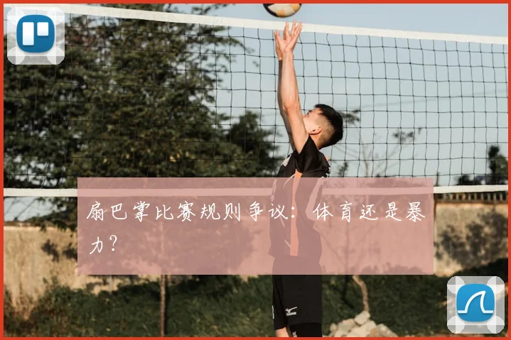 扇巴掌比赛规则争议：体育还是暴力？