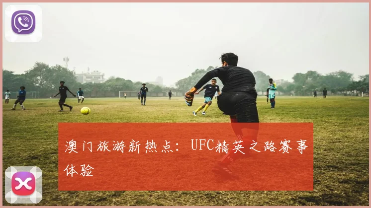 澳门旅游新热点：UFC精英之路赛事体验