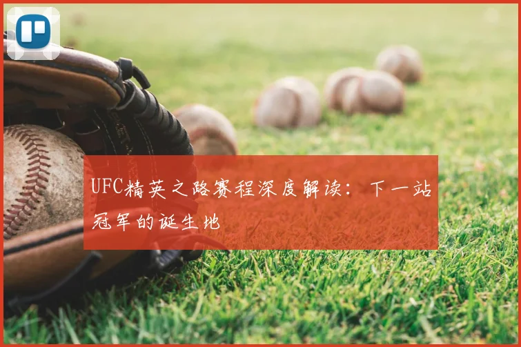 UFC精英之路赛程深度解读:下一站冠军的诞生地