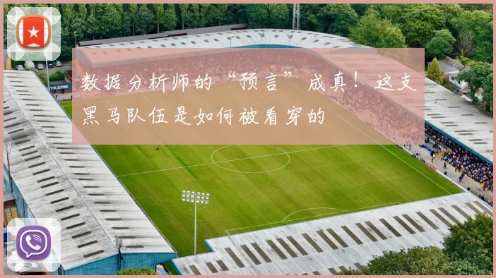 数据分析师的“预言”成真!这支黑马队伍是如何被看穿的