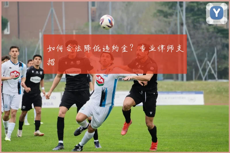 如何合法降低违约金？专业律师支招