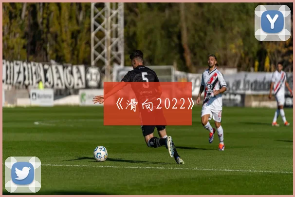 《滑向2022》