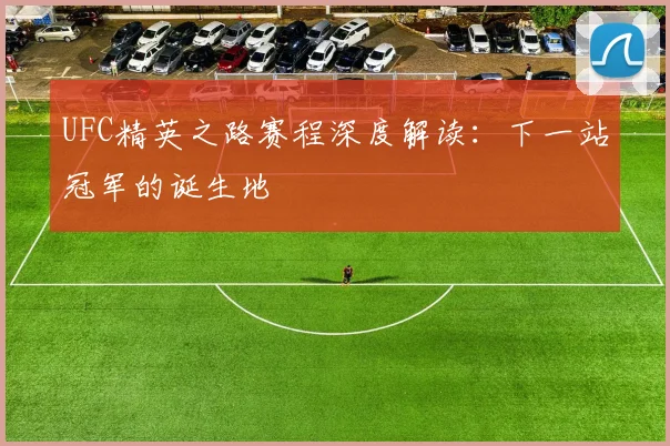 UFC精英之路赛程深度解读:下一站冠军的诞生地