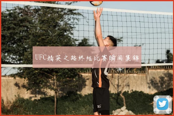 UFC精英之路终结比赛瞬间集锦