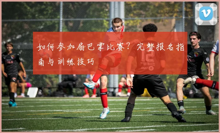 如何参加扇巴掌比赛？完整报名指南与训练技巧